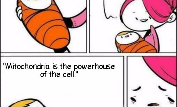 The Biology of Emily Dickinson: This Is My April 1st Work (Emma S.)